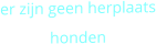 er zijn geen herplaats honden